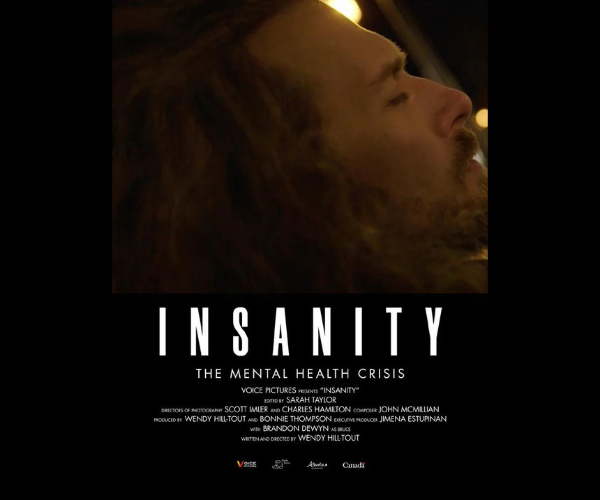 Image of poster for the movie INSANITY